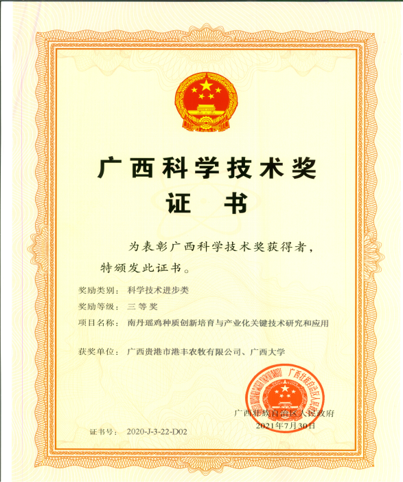新闻九、广西科技进步三等奖.png